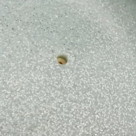 Minge gimnastica Grace Dance Ball rhythmic thumbnav 2