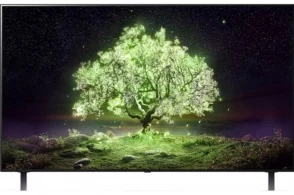OLED телевизор LG OLED48A1RLA 