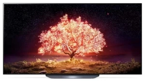 Televizor OLED LG OLED65B1RLA 