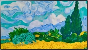 OLED телевизор LG OLED65G1RLA 