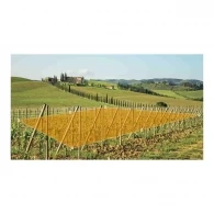 Camera supraveghere video outdoor Imou AOVPT 4G Wi-Fi IPC-B7ED-5MO TEA-EU (14859) thumbnav 7