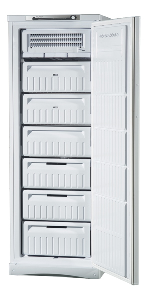 Congelator Indesit SFR 167 NF, 220 l, 167 cm, D, Alb photo 