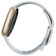 Фитнес-браслет Fitbit Sense 2 Blue Mist/Soft Gold Aluminium (FB521) thumbnav 3