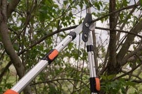 Ножницы для веток телескопические (секатор) 70-103мм Daewoo 