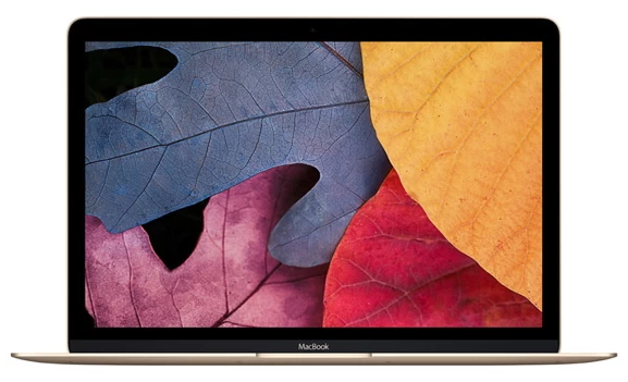 Ноутбук Apple MacBook 12" MLHE2RU/A GOLD 12 / Золотистый photo 1