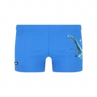 Плавки-шорты Joss B Swim Bief  